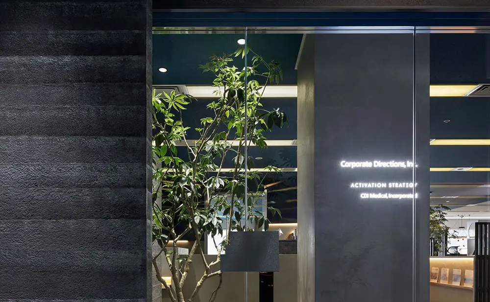 Corporate Directions, Inc.